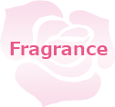 Fragrance）