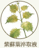 紫蘇葉淬取液