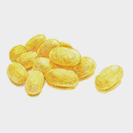 Golden silk extract [Hydrolyzed silk]